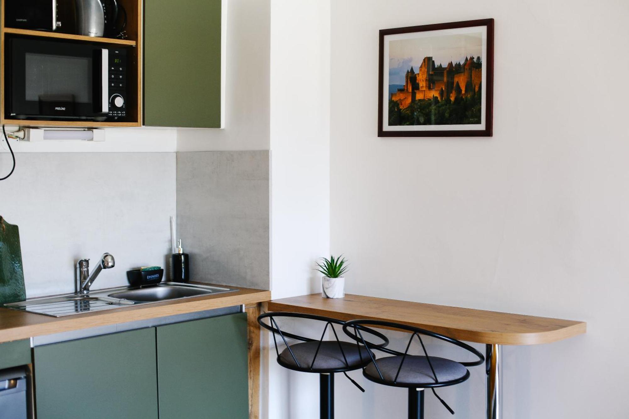 Studio Avec Parking Vue Sur La Cite De Каркассонн Екстер'єр фото
